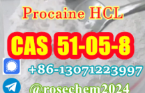 Procaine hydrochloride CAS 51-05-8 Supplier from China +8615355326496 mediacongo